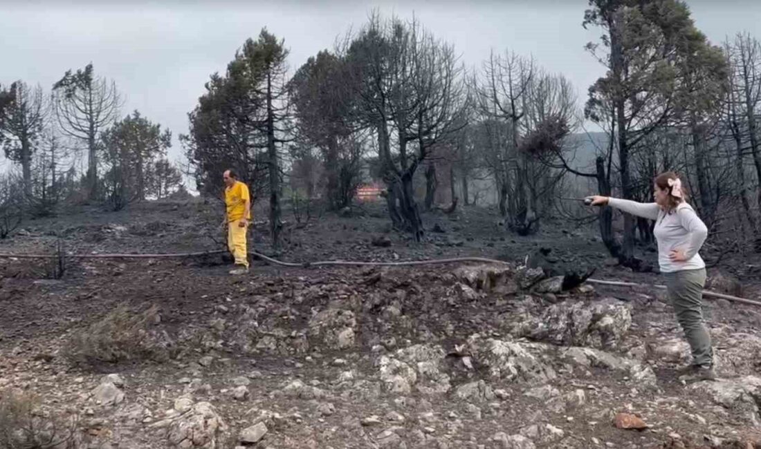 BALIKESİR'İN KEPSUT İLÇESİNDE DÜN