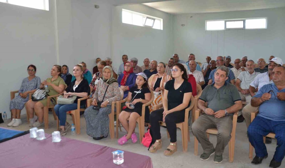 SAMSUN’UN BAFRA İLÇESİNDE İL