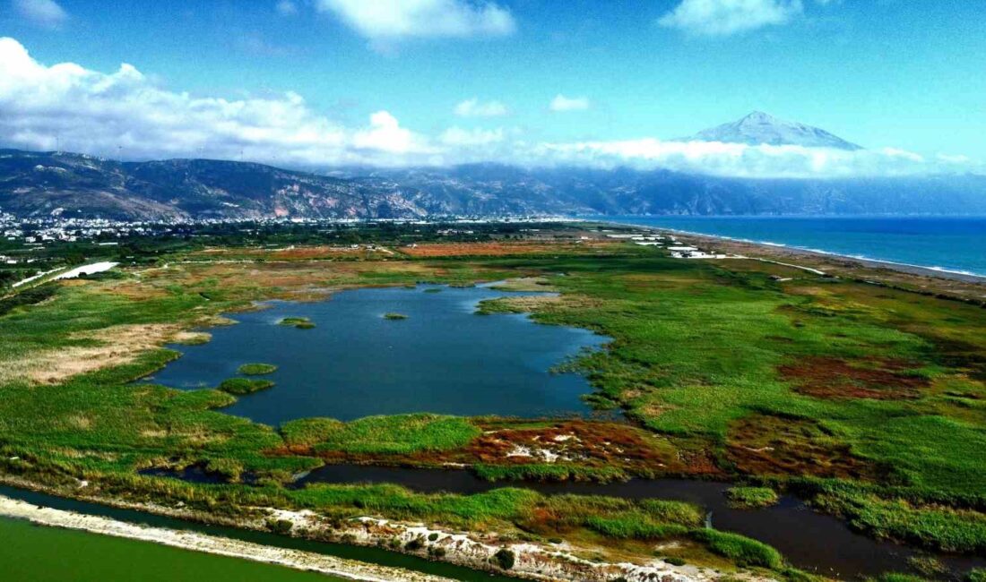 HATAY’IN SAMANDAĞ İLÇESİNDE, YAKLAŞIK