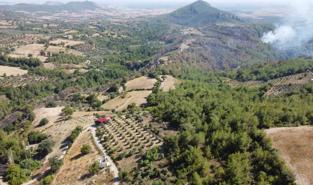 ADANA’NIN KOZAN İLÇESİNDE ÇIKAN