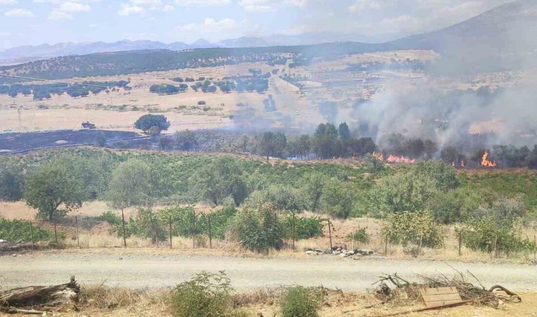 DİYARBAKIR’IN KULP İLÇESİNDE DÜN