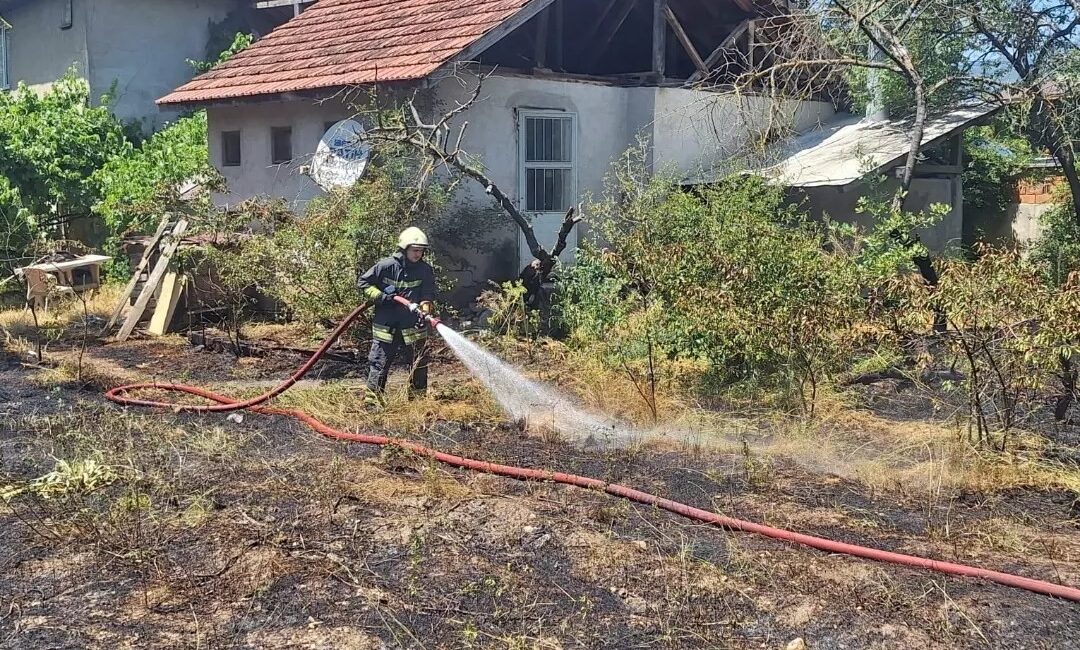 BOLU’DA KURU OTLARIN BULUNDUĞU