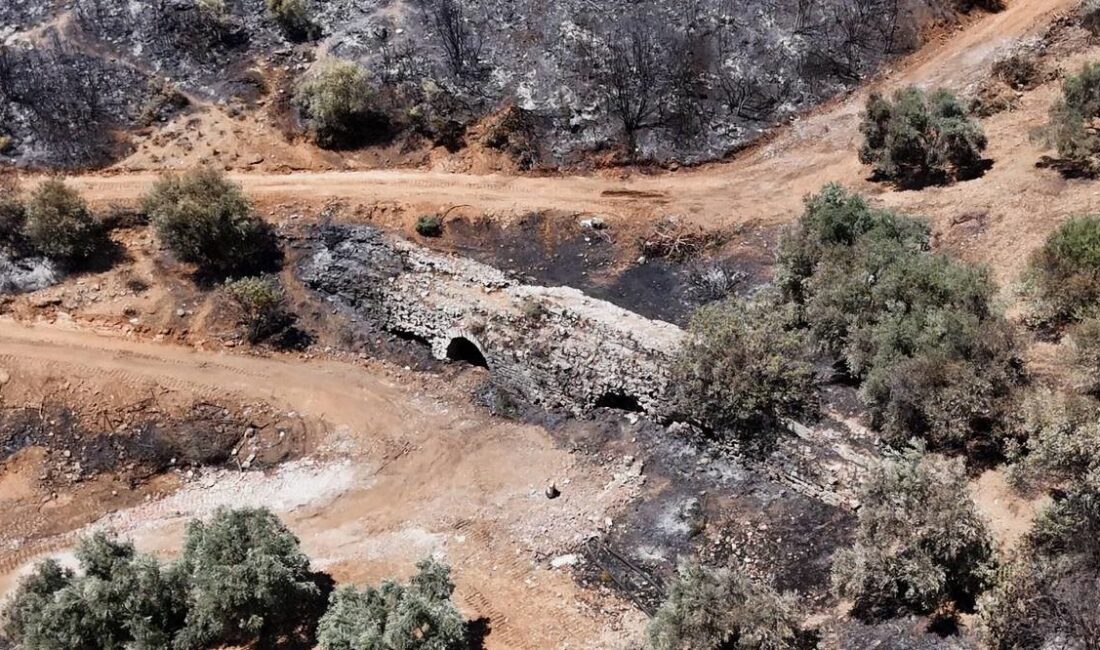 İZMİR'DE BAŞLAYIP AYDIN'A SIÇRAYAN