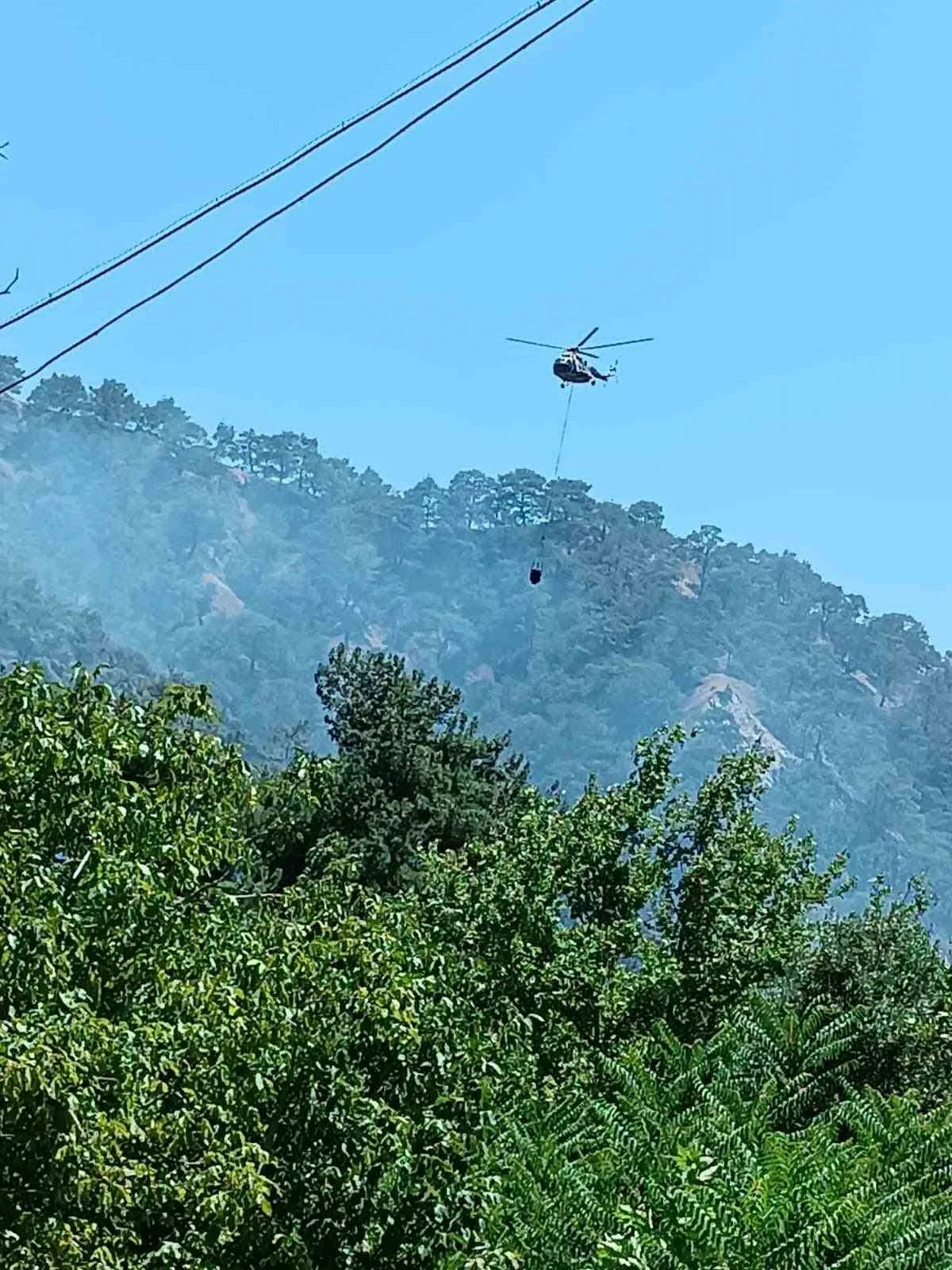 Kuyucak’taki orman yangınının sebebi belli oldu