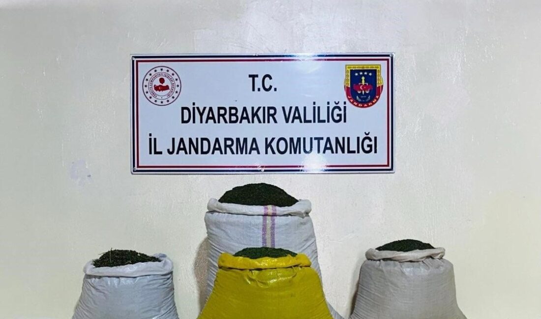 DİYARBAKIR’IN LİCE İLÇESİNDE DÜZENLENEN