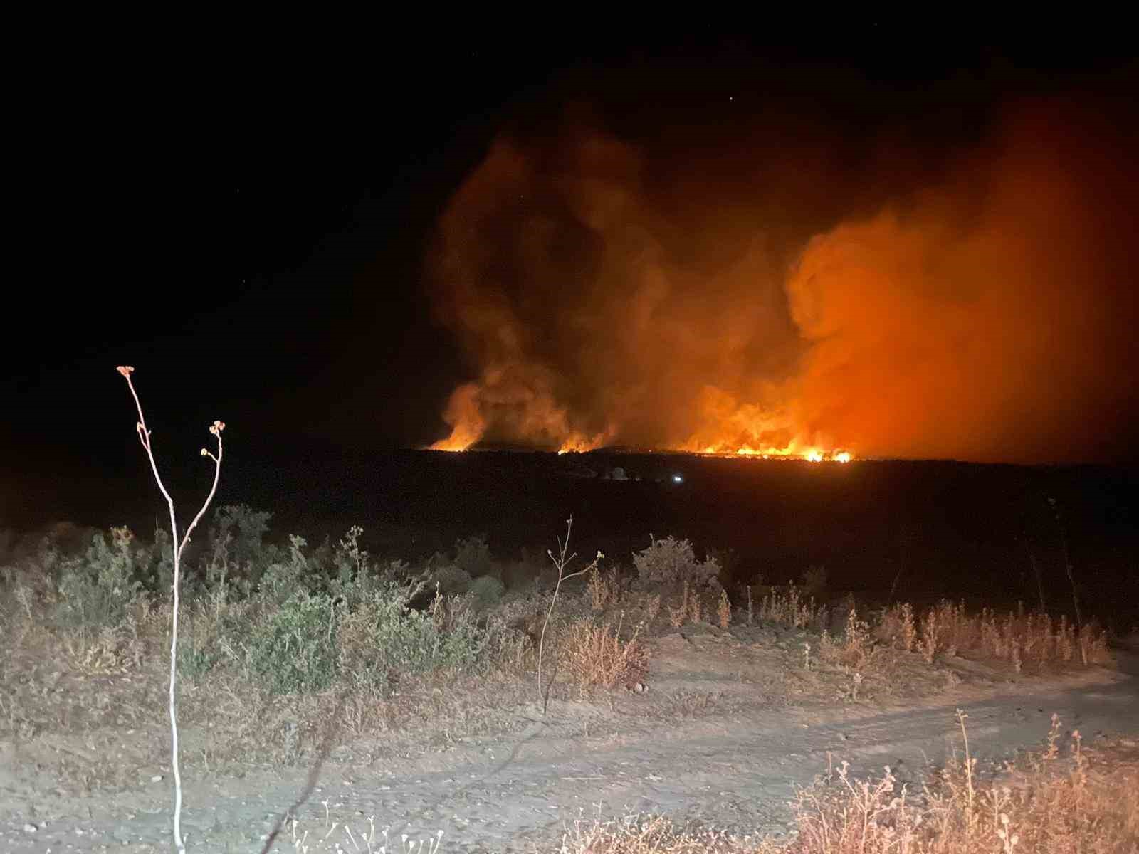 Lice’de gece başlayan orman yangını söndürüldü