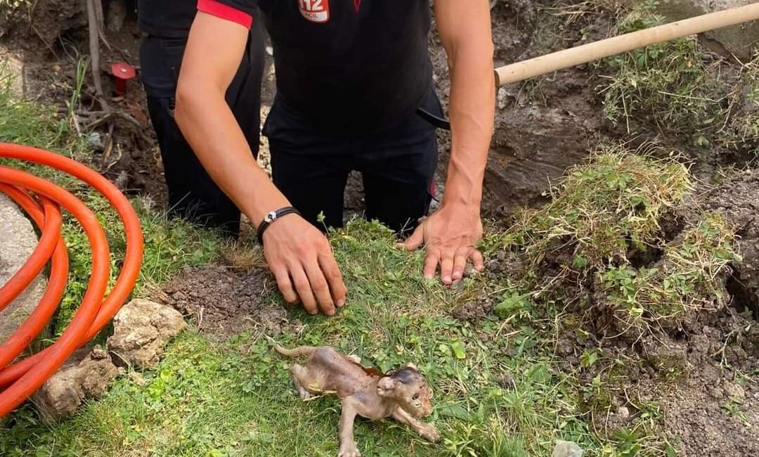 LÜLEBURGAZ’DA BORUYA SIKIŞAN YAVRU