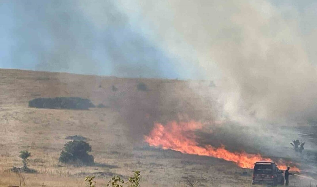 MALATYA’DA BİR HEKTARLIK ALANDA