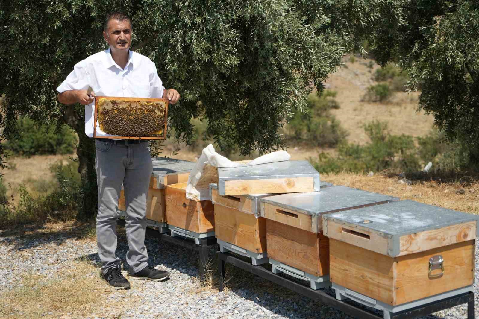 Manisa’da aşırı sıcaklar bal üretimini etkiledi