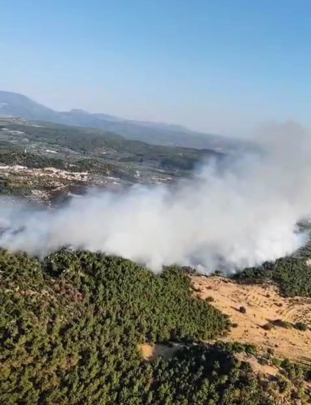 Manisa’da orman yangını