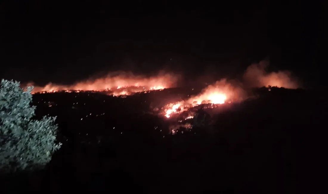 MARDİN’DE GECE SAATLERİNDE KORKUTAN