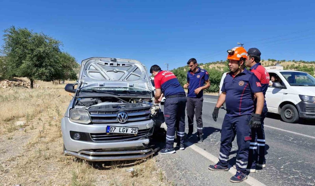 MARDİN’İN ARTUKLU İLÇESİNDE KAMYONET