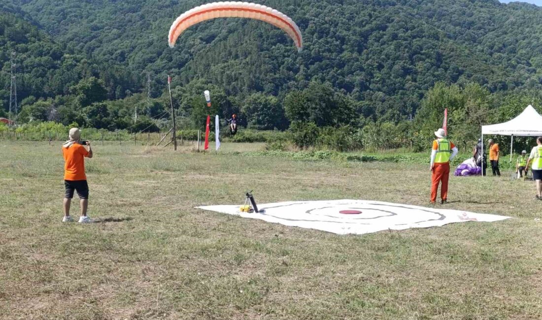 TÜRKİYE HAVA SPORLARI FEDERASYONU