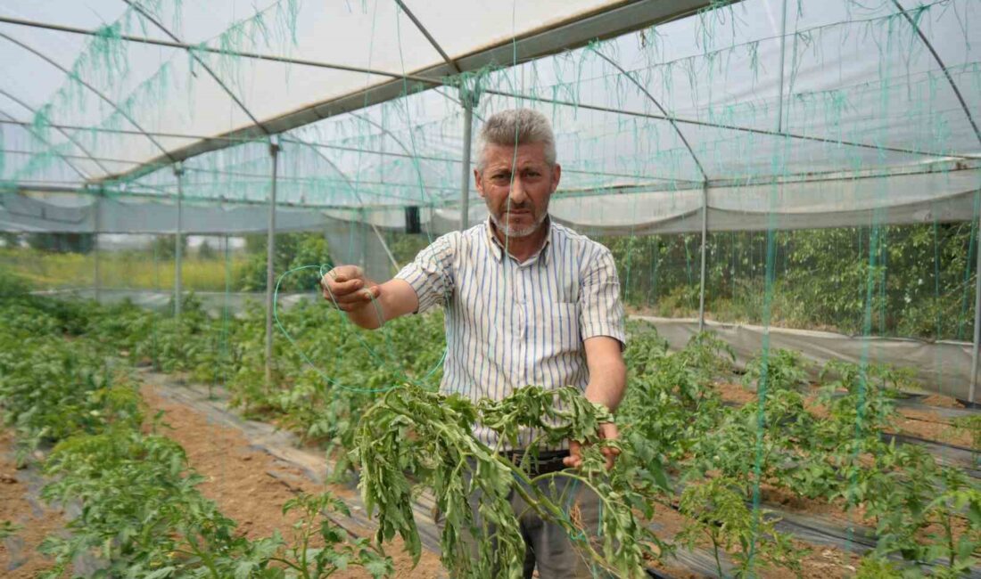 MARMARA'NIN 'KÜÇÜK ANTALYA'SI TABİR