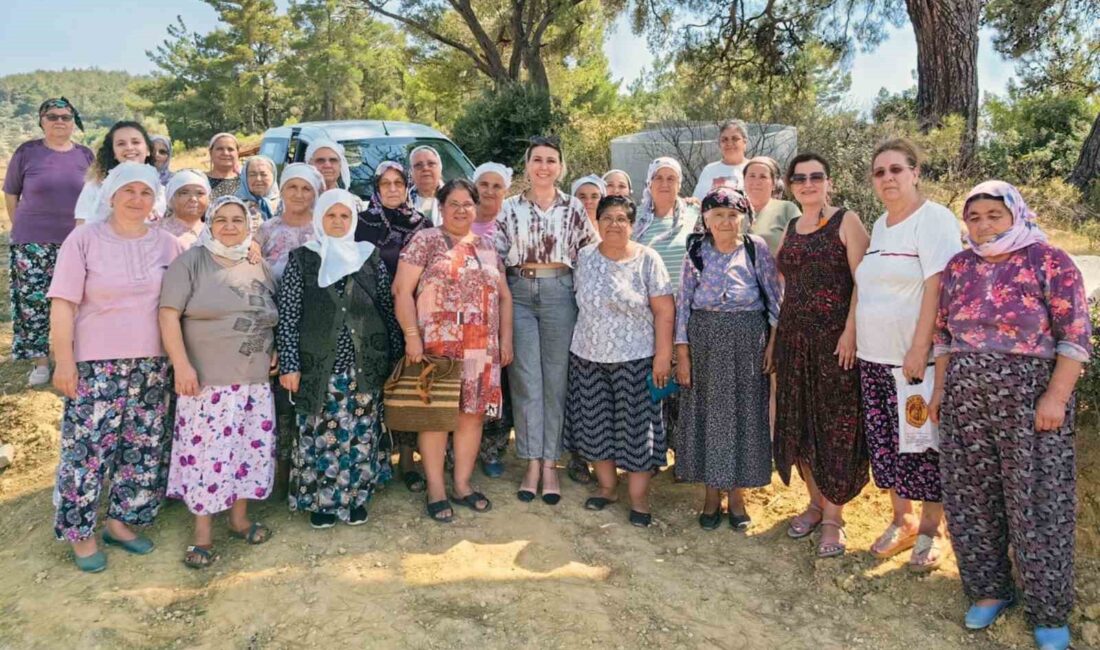 MENTEŞE BELEDİYESİ SAĞLIK İŞLERİ