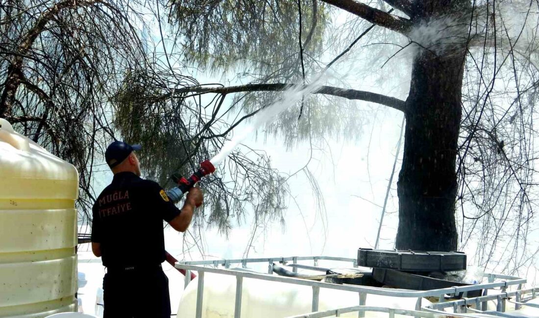 MUĞLA'NIN MENTEŞE İLÇESİ SANAYİ