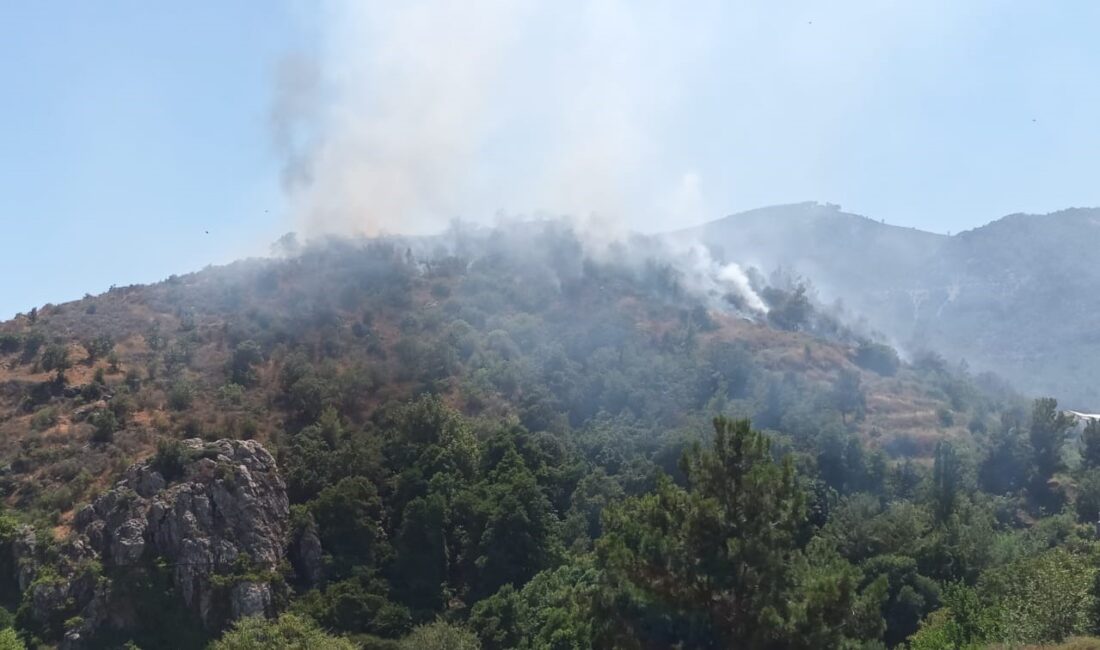 MERSİN'İN ANAMUR İLÇESİNDE ORMANLIK