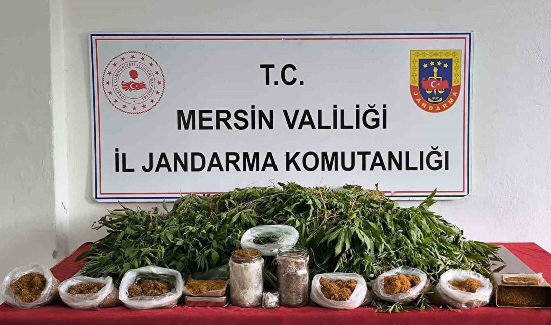 MERSİN'İN ÇAMLIYAYLA İLÇESİNDE BİR