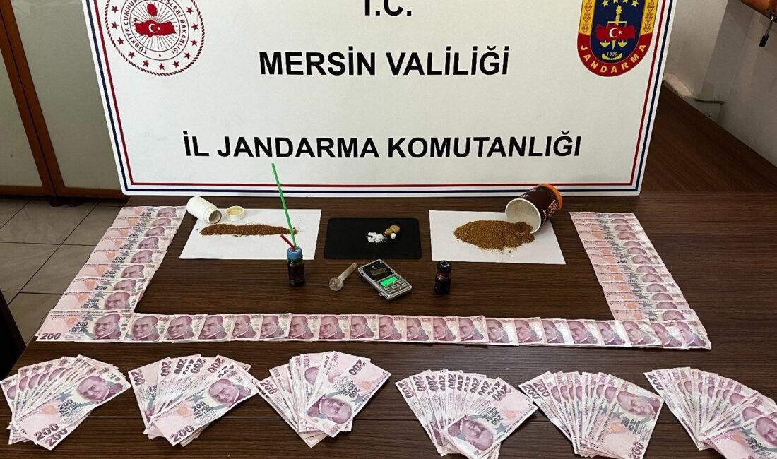 MERSİN'DE JANDARMA EKİPLERİNCE DÜZENLENEN