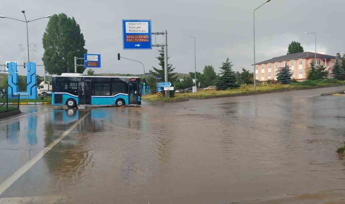 METEOROLOJİ VERİLERİNE GÖRE; ERZURUM