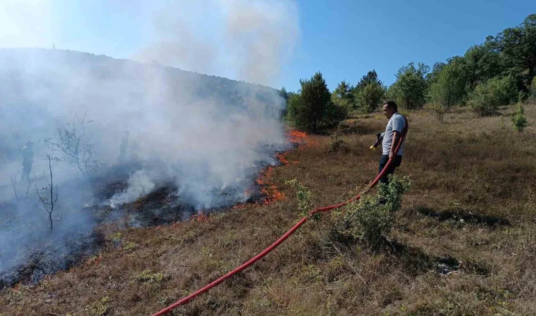 KASTAMONU'NUN ARAÇ İLÇESİNDE MEZARLIKTA