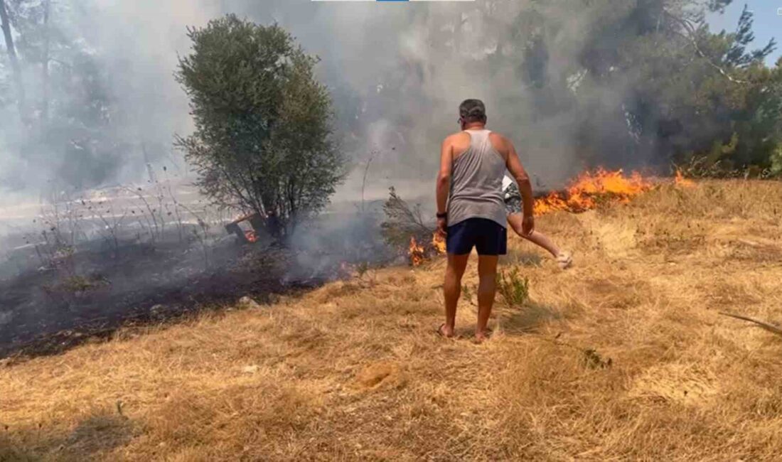 MUĞLA’NIN MİLAS İLÇESİNDE 14.30