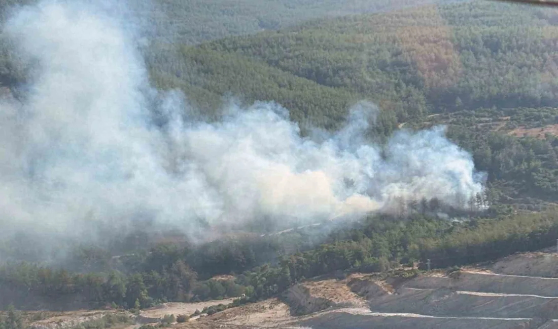 MUĞLA’NIN MİLAS İLÇESİNDE AKŞAM