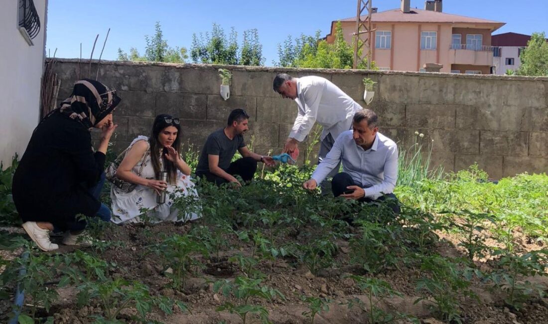 HAKKARİ’NİN YÜKSEKOVA İLÇE TARIM