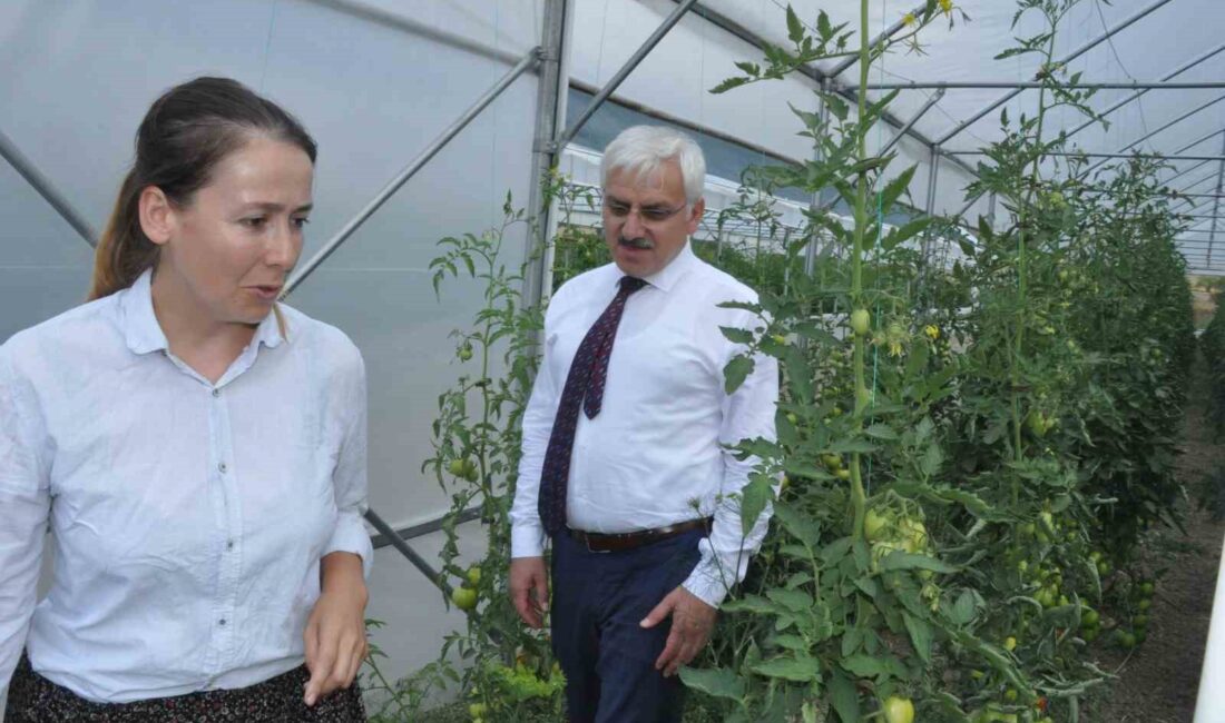 BOLU’NUN MUDURNU İLÇESİNDE "HÜNERLİ