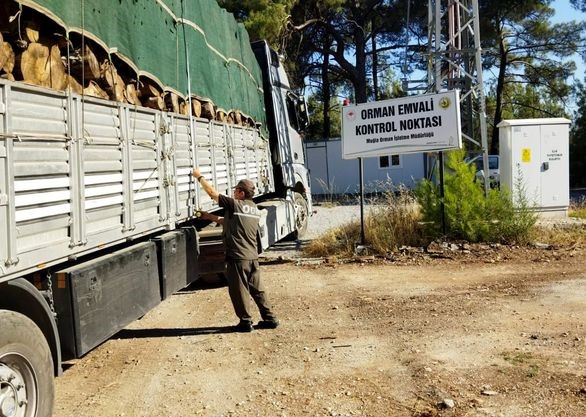 MUĞLA ORMAN BÖLGE MÜDÜRLÜĞÜ,