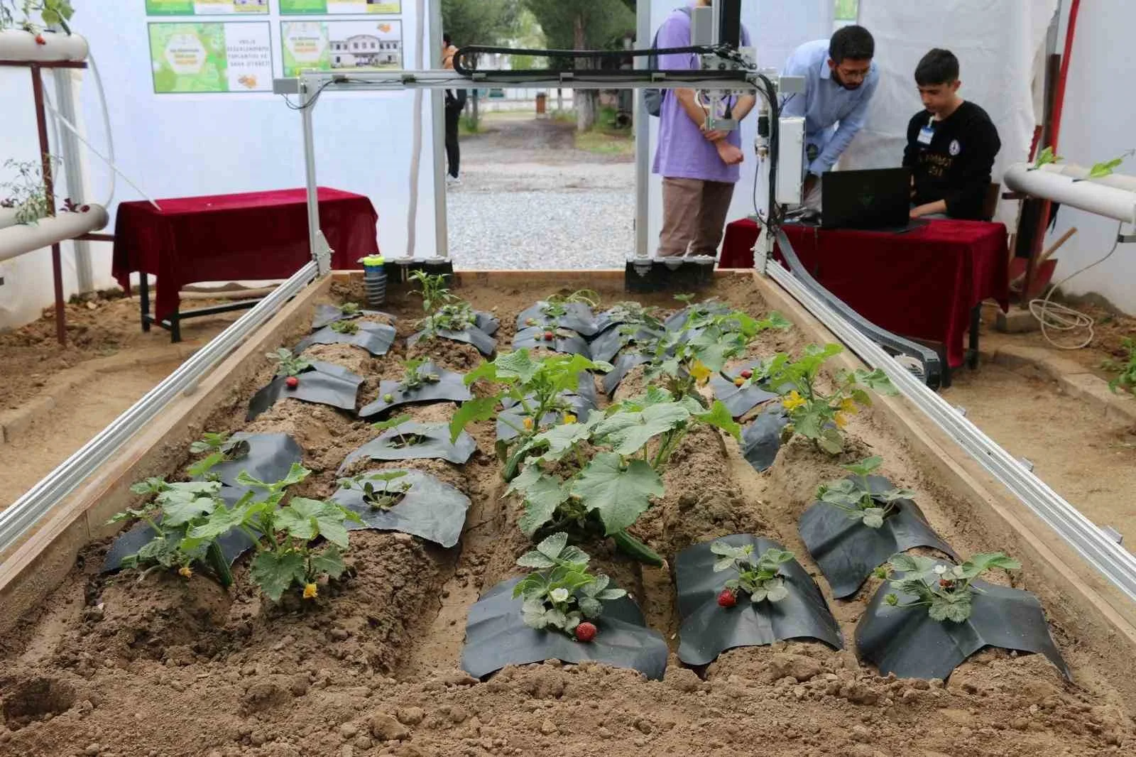 Muğla’da iki proje faydalı model olarak tescillendi