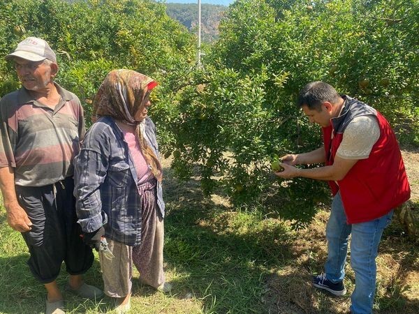 MUĞLA TARIM VE ORMAN