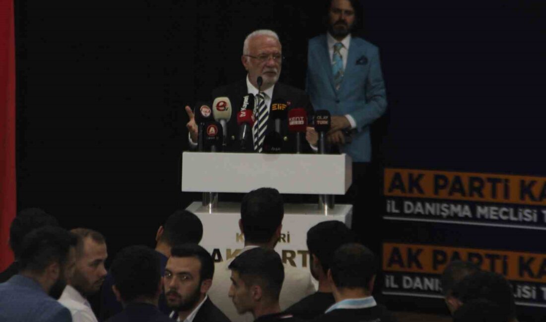 AK PARTİ GENEL BAŞKANVEKİLİ