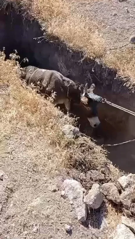 Niğde’de kuyuya düşen eşek kurtarıldı