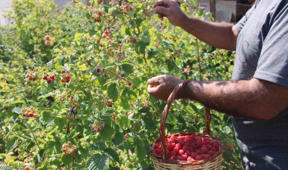 ORGANİK BAHÇEYİ ZİYARET EDEN