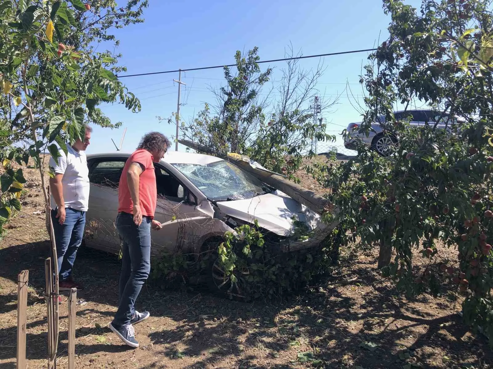 Önce direğe çarptı, sonra bağ evinin bahçesine daldı