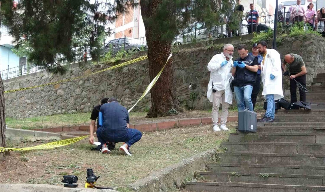 ORDU’DA BİR KİŞİ, TABANCA