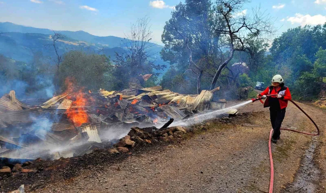 ORDU’NUN AKKUŞ İLÇESİNDE TEK