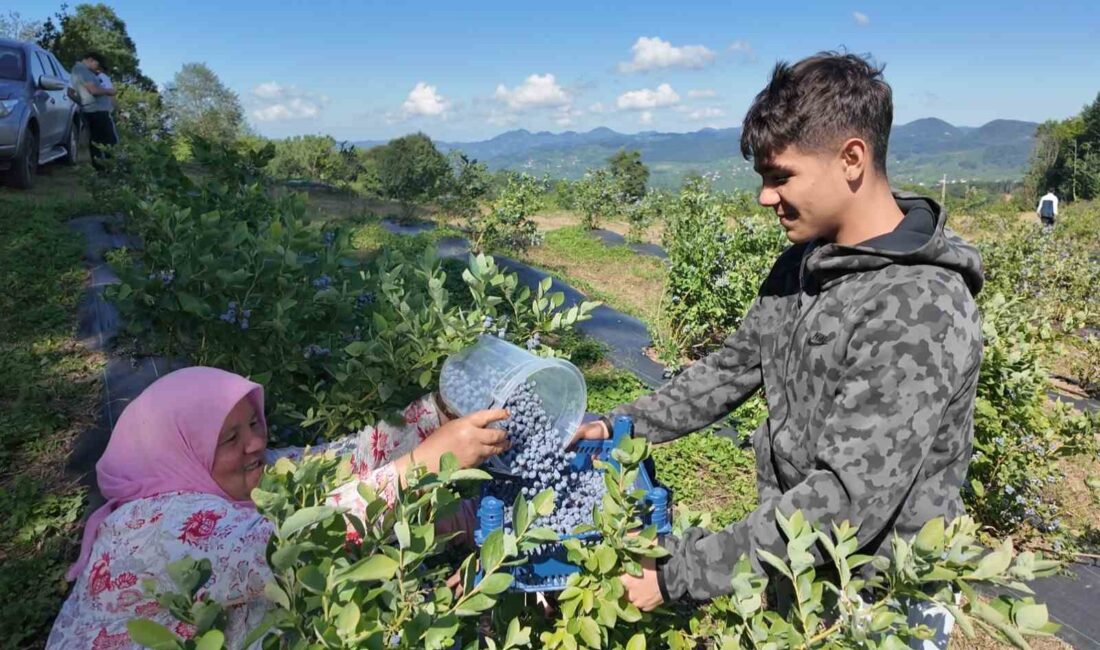 ORDU BÜYÜKŞEHİR BELEDİYESİNİN DESTEKLERİ