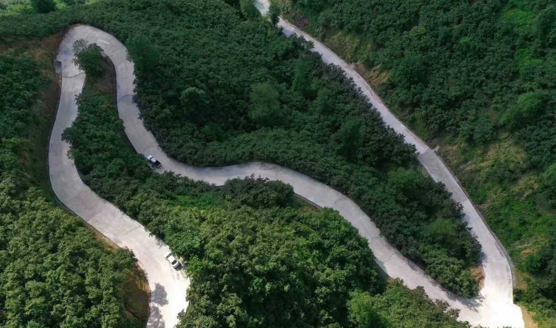 ORDU BÜYÜKŞEHİR BELEDİYESİ, YAĞIŞA