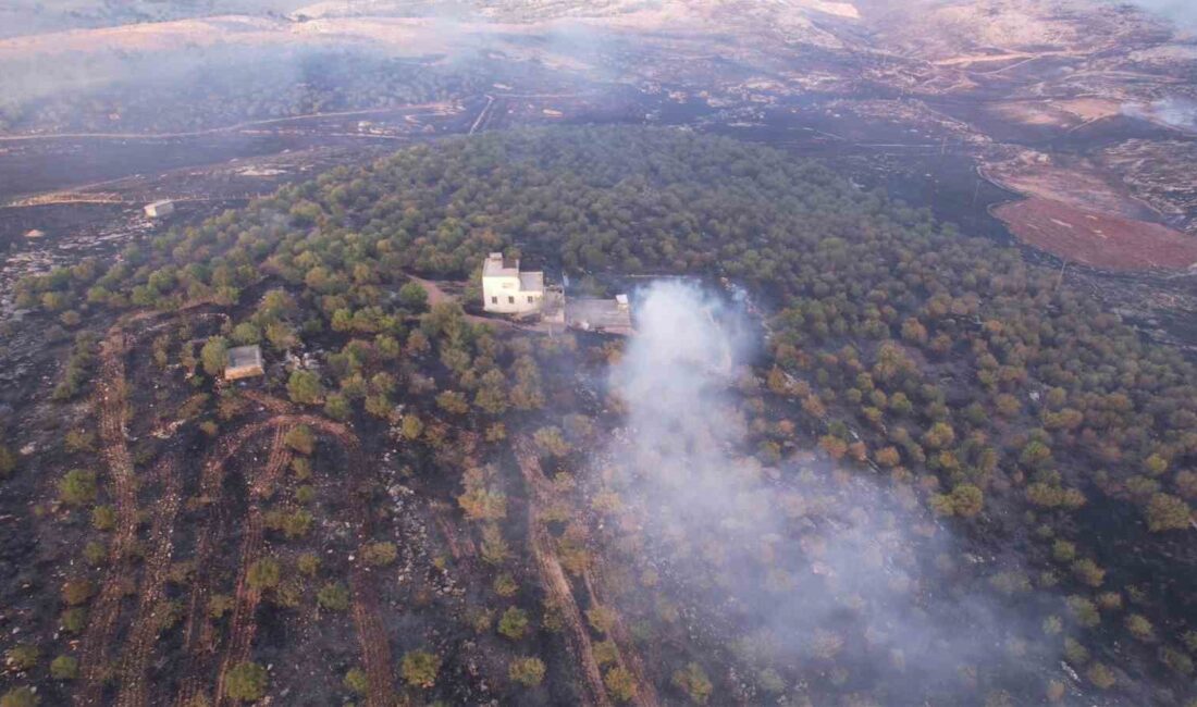 ADIYAMAN’DA OTLUK ALANDAN ORMANLIK