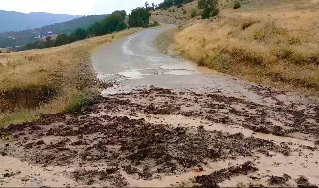 OSMANCIK İLÇESİNDE ÖĞLEDEN SONRA