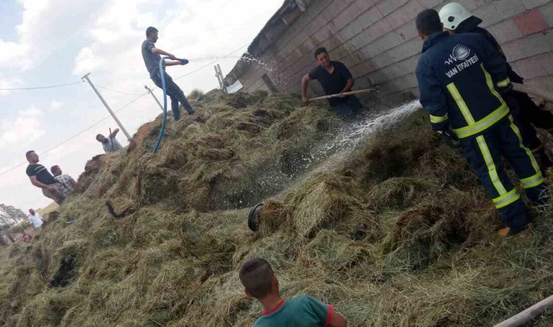 VAN’IN ÖZALP İLÇESİNDE ÇIKAN