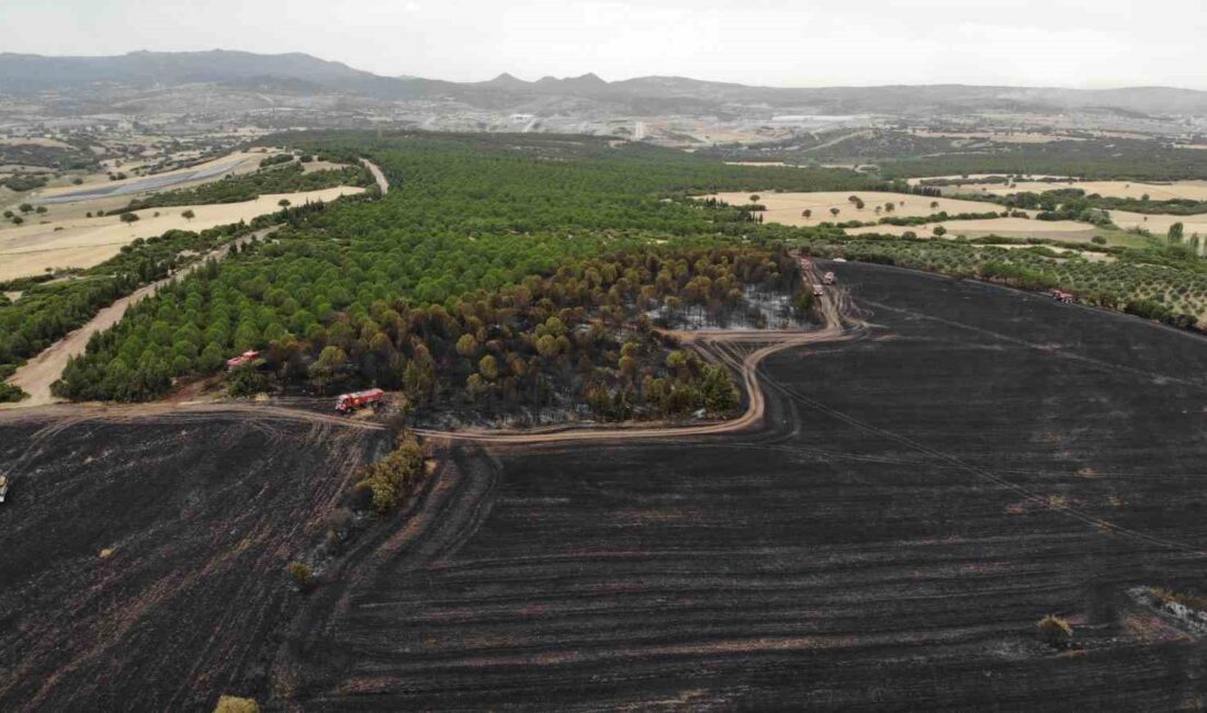 ÇANAKKALE'DE HAZİRAN AYINDA 31'İ