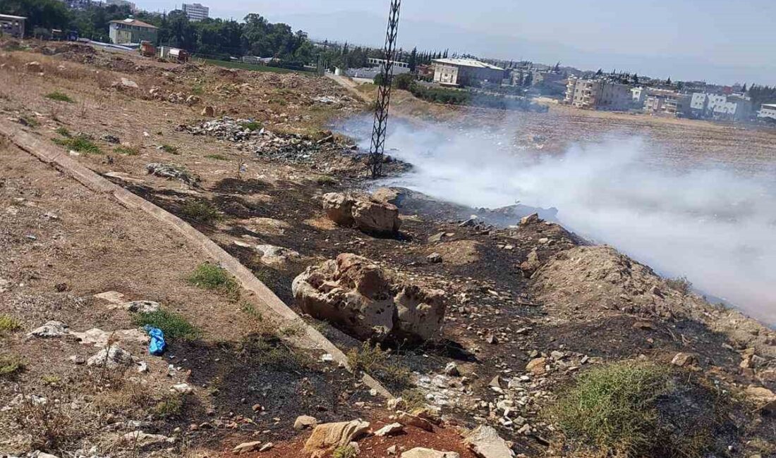 HATAY’IN REYHANLI İLÇESİNDE ÇIKAN