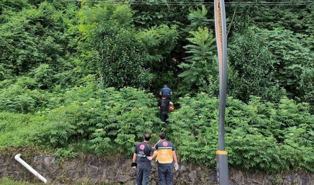 RİZE'NİN PAZAR  İLÇESİNDE