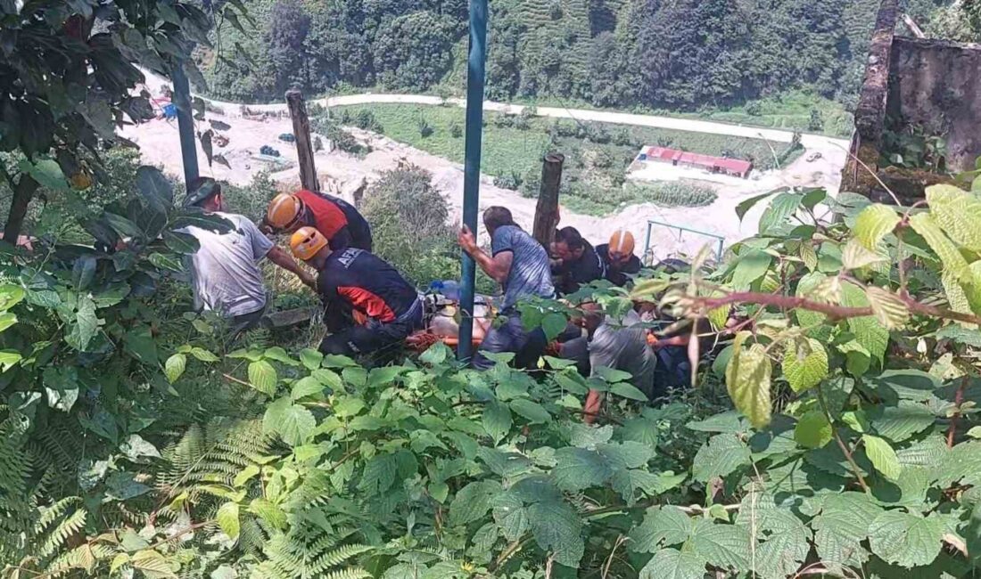 RİZE’NİN GÜNEYSU İLÇESİNDE ÇAY