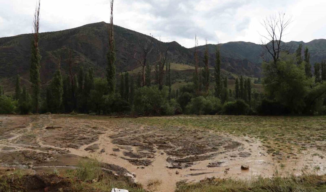 ERZURUM’UN OLTU İLÇESİNDE ETKİLİ