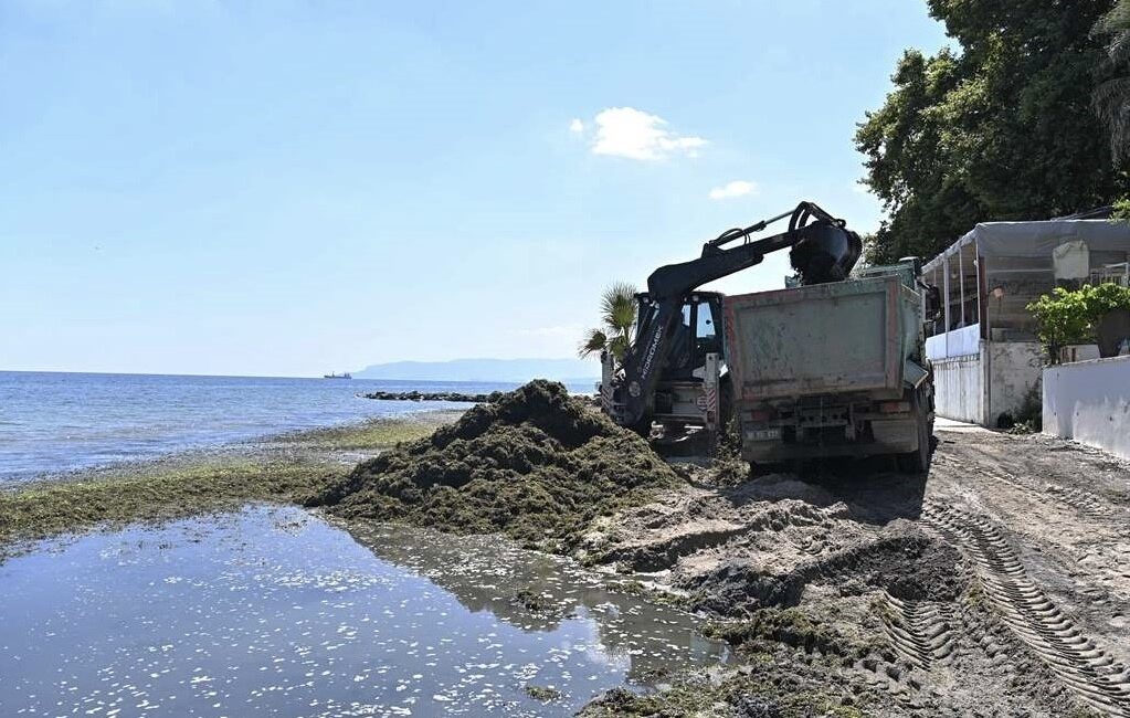 TEKİRDAĞ SÜLEYMANPAŞA BELEDİYESİ, DEĞİRMENALTI