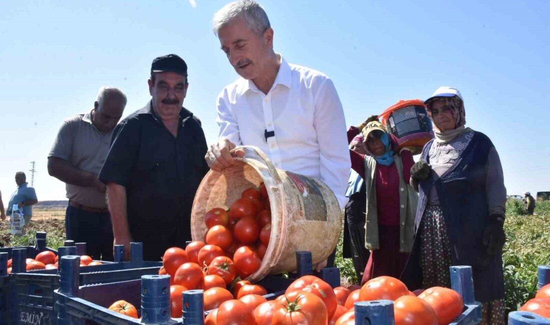 ŞAHİNBEY BELEDİYESİ TARAFINDAN ÇİFTÇİLERE